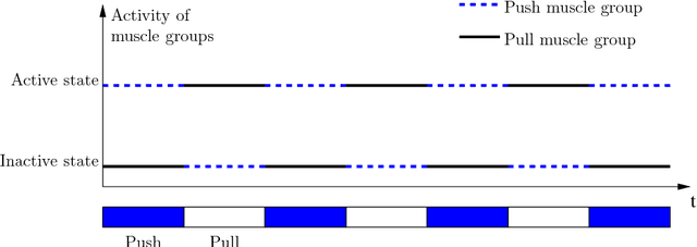 Figure 1 for Predictive model of the human muscle fatigue: application to repetitive push-pull tasks with light external load