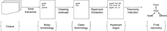 Figure 1 for Taxonomy Induction using Hypernym Subsequences