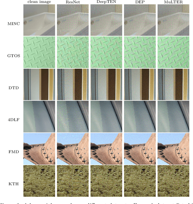 Figure 4 for A Study for Universal Adversarial Attacks on Texture Recognition