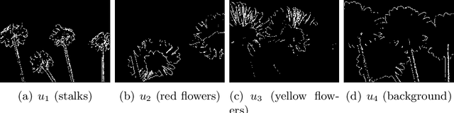 Figure 1 for An Active Contour Model with Local Variance Force Term and Its Efficient Minimization Solver for Multi-phase Image Segmentation