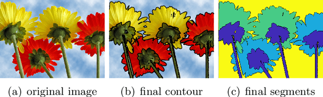 Figure 3 for An Active Contour Model with Local Variance Force Term and Its Efficient Minimization Solver for Multi-phase Image Segmentation