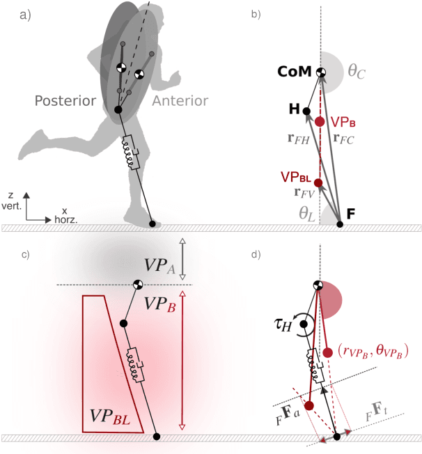 Figure 3 for Postural Stability in Human Running with Step-down Perturbations: An Experimental and Numerical Study