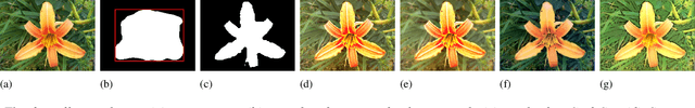 Figure 2 for Automatic Content-aware Non-Photorealistic Rendering of Images