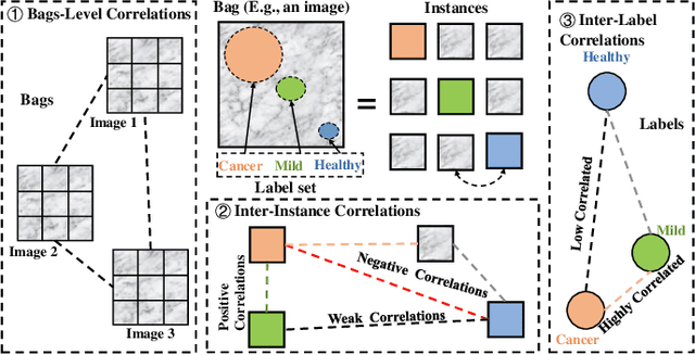 Figure 1 for Single-Stage Broad Multi-Instance Multi-Label Learning  with Diverse Inter-Correlations and its application to medical image classification