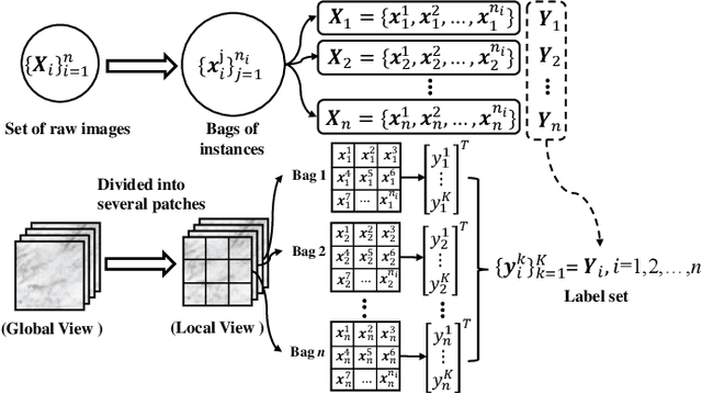 Figure 2 for Single-Stage Broad Multi-Instance Multi-Label Learning  with Diverse Inter-Correlations and its application to medical image classification