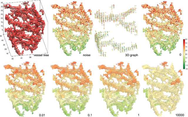Figure 3 for Heat Kernel Smoothing in Irregular Image Domains
