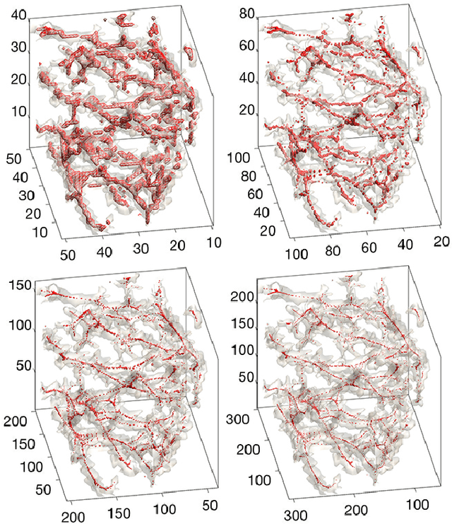 Figure 4 for Heat Kernel Smoothing in Irregular Image Domains