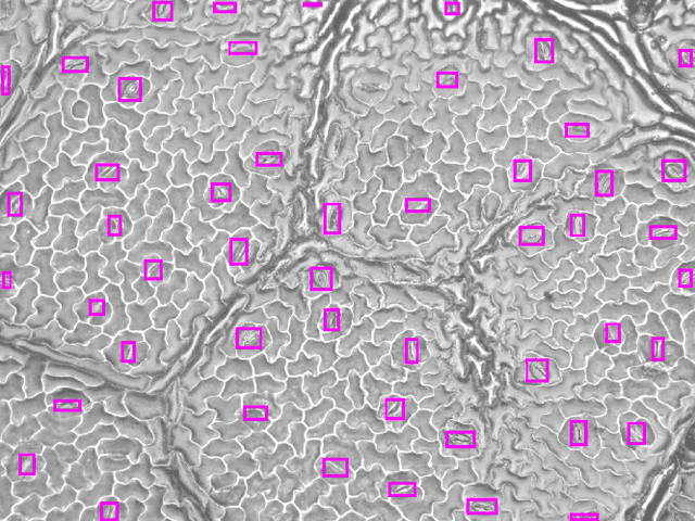 Figure 2 for Guiding the Creation of Deep Learning-based Object Detectors