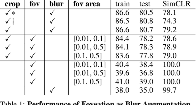 Figure 2 for On the use of Cortical Magnification and Saccades as Biological Proxies for Data Augmentation