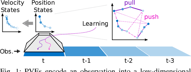Figure 1 for PVEs: Position-Velocity Encoders for Unsupervised Learning of Structured State Representations
