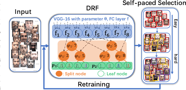 Figure 1 for Self-Paced Deep Regression Forests for Facial Age Estimation