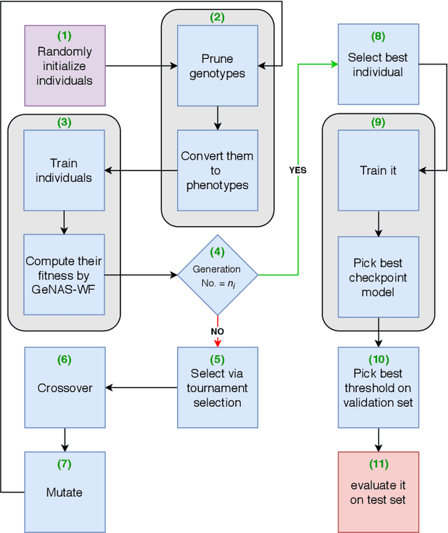 Figure 1 for Genetic Neural Architecture Search for automatic assessment of human sperm images
