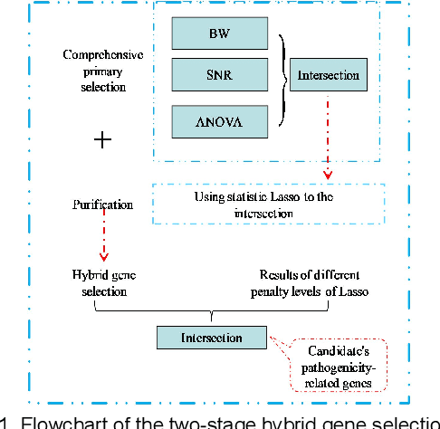 Figure 1 for Inverse Projection Representation and Category Contribution Rate for Robust Tumor Recognition