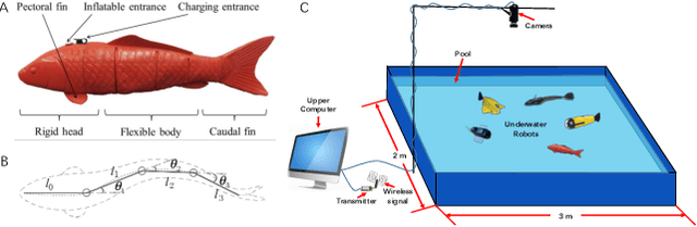 Figure 2 for Decentralized Circle Formation Control for Fish-like Robots in the Real-world via Reinforcement Learning