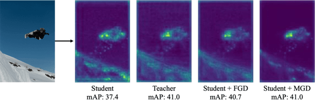 Figure 1 for Masked Generative Distillation