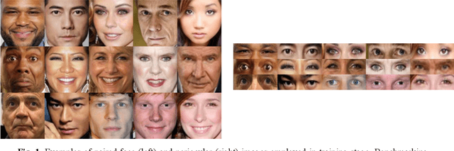 Figure 1 for Periocular in the Wild Embedding Learning with Cross-Modal Consistent Knowledge Distillation