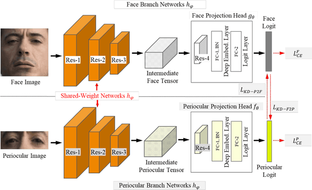 Figure 3 for Periocular in the Wild Embedding Learning with Cross-Modal Consistent Knowledge Distillation