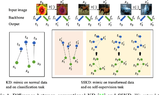 Figure 1 for Knowledge Distillation Meets Self-Supervision