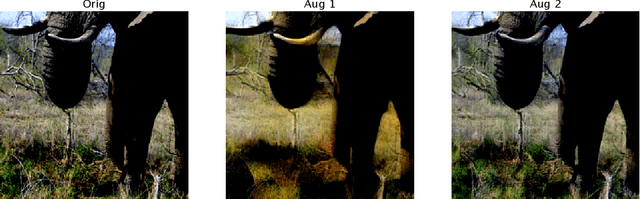 Figure 2 for How to augment your ViTs? Consistency loss and StyleAug, a random style transfer augmentation