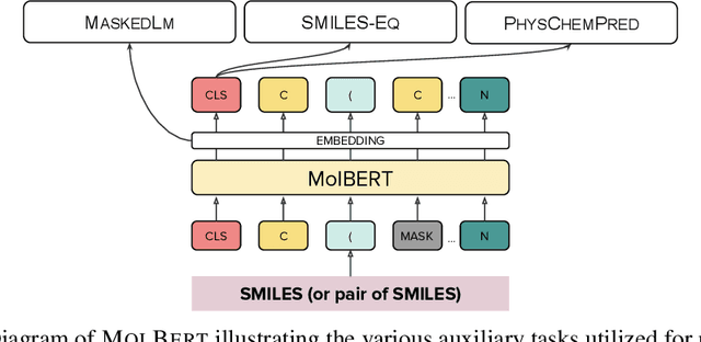Figure 1 for Molecular representation learning with language models and domain-relevant auxiliary tasks