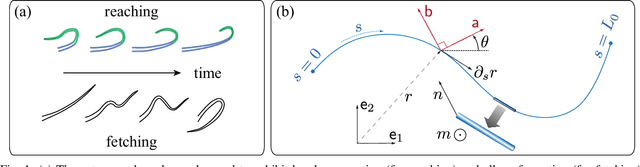 Figure 1 for Optimal Control of a Soft CyberOctopus Arm