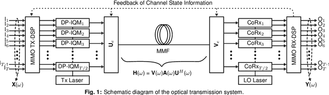 Figure 1 for On a Scalable Path for Multimode MIMO-DSP
