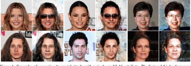 Figure 1 for Semantic Adversarial Attacks: Parametric Transformations That Fool Deep Classifiers