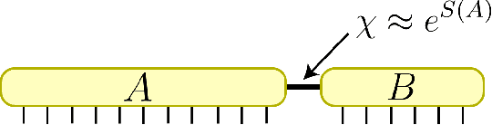 Figure 1 for Entanglement and Tensor Networks for Supervised Image Classification