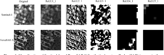 Figure 2 for Dialectical GAN for SAR Image Translation: From Sentinel-1 to TerraSAR-X