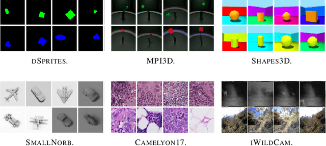 Figure 3 for A Fine-Grained Analysis on Distribution Shift