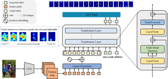 Figure 3 for TokenPose: Learning Keypoint Tokens for Human Pose Estimation