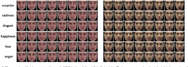 Figure 3 for Facial Expression Video Generation Based-On Spatio-temporal Convolutional GAN: FEV-GAN