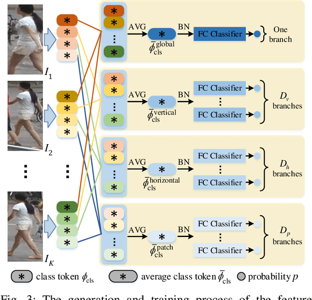 Figure 3 for Multi-direction and Multi-scale Pyramid in Transformer for Video-based Pedestrian Retrieval