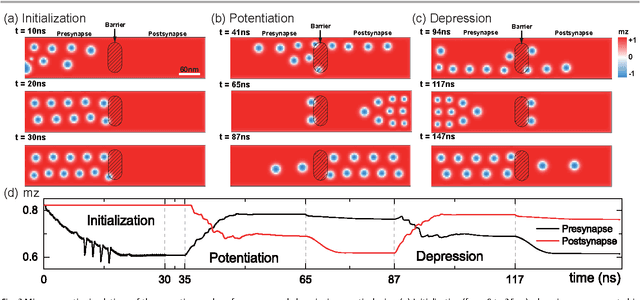 Figure 1 for Magnetic skyrmion-based synaptic devices