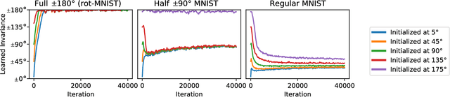 Figure 3 for Learning Invariant Weights in Neural Networks
