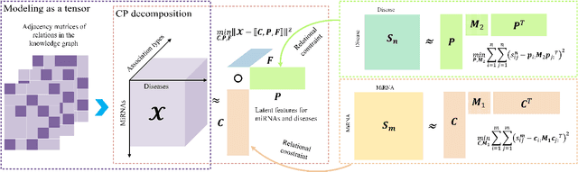 Figure 2 for Predicting microRNA-disease associations from knowledge graph using tensor decomposition with relational constraints