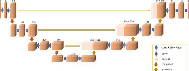 Figure 1 for Automatic tracing of mandibular canal pathways using deep learning
