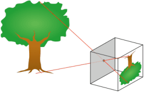 Figure 1 for Object-image correspondence for curves under finite and affine cameras