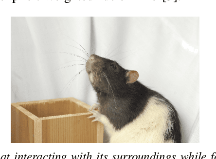 Figure 1 for ViTa-SLAM: Biologically-Inspired Visuo-Tactile SLAM