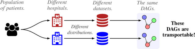 Figure 1 for Differentiable and Transportable Structure Learning