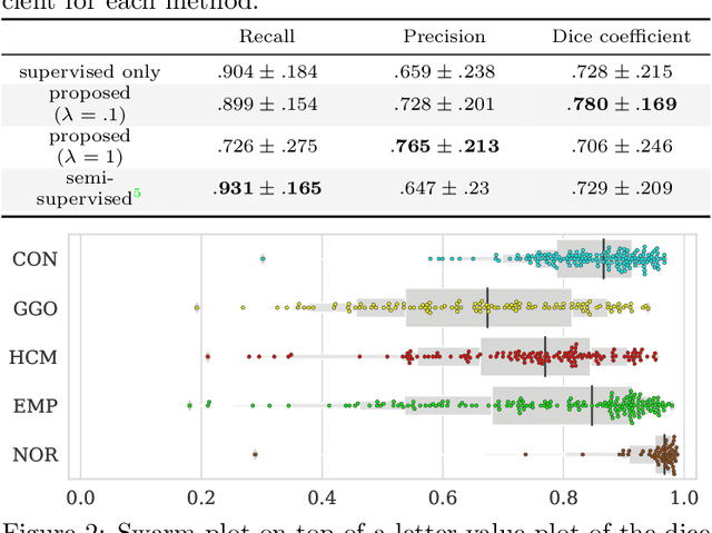 Figure 2 for Weak Supervision in Convolutional Neural Network for Semantic Segmentation of Diffuse Lung Diseases Using Partially Annotated Dataset