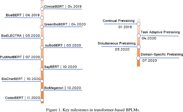 Figure 1 for AMMU -- A Survey of Transformer-based Biomedical Pretrained Language Models