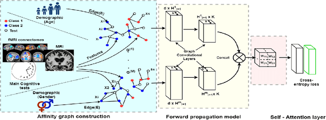 Figure 1 for Self-Attention Equipped Graph Convolutions for Disease Prediction