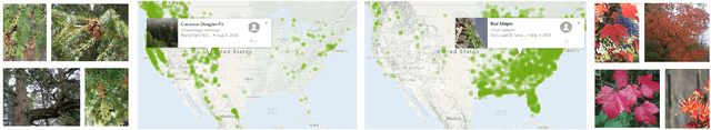 Figure 1 for Federated Visual Classification with Real-World Data Distribution