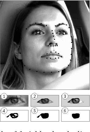 Figure 2 for Semi-Automated Annotation of Discrete States in Large Video Datasets