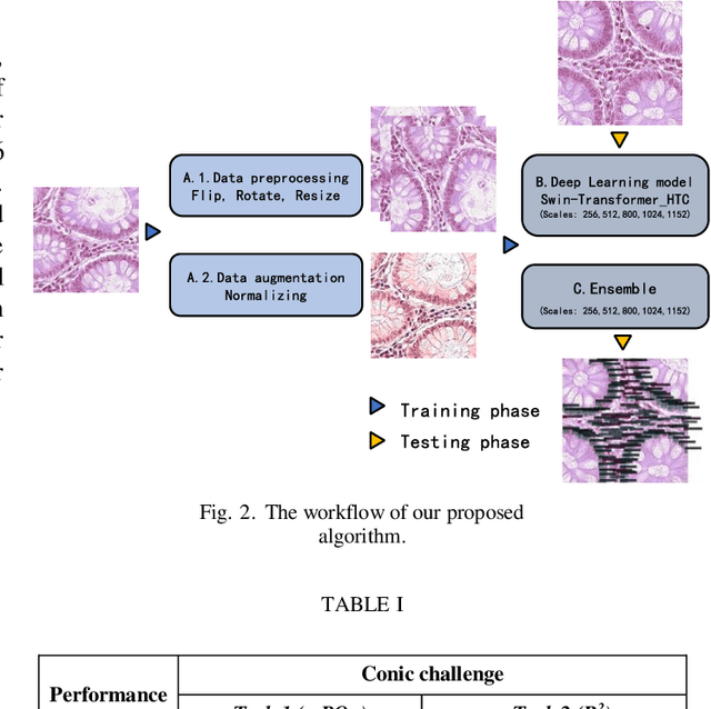 Figure 2 for Using Multi-scale SwinTransformer-HTC with Data augmentation in CoNIC Challenge