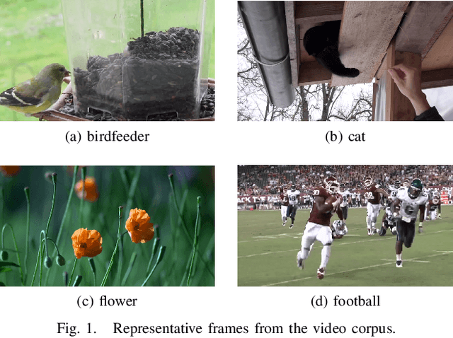 Figure 1 for The VIP Gallery for Video Processing Education