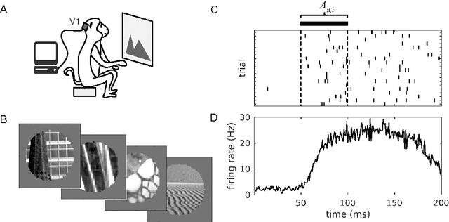 Figure 1 for Using deep learning to reveal the neural code for images in primary visual cortex