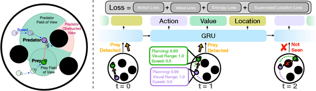Figure 3 for The Introspective Agent: Interdependence of Strategy, Physiology, and Sensing for Embodied Agents