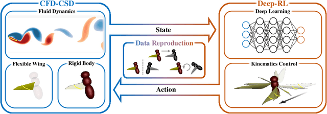 Figure 1 for Control of a fly-mimicking flyer in complex flow using deep reinforcement learning